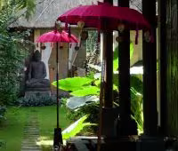 Villa Bamboo, Garten Detail